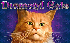 La slot machine Diamond Cats